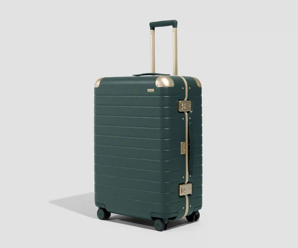 The Aluminum Edge Medium in Ivy Green