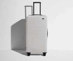 The Trunk in Cloud Gray