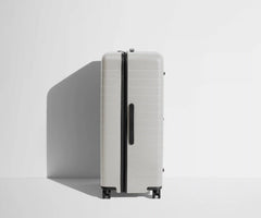 The Trunk in Cloud Gray