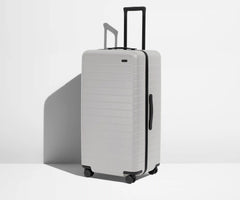 The Trunk in Cloud Gray